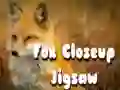 Laro Puzzl ng mga closeup ng Fox online