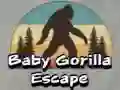 Laro Pagtakas ng Baby Gorilla online Laro Pagtakas ng Baby Gorilla online