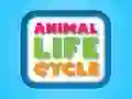 Laro Cycle ng Buhay ng Hayop online Laro Cycle ng Buhay ng Hayop online