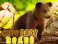 Laro Cute Baby Bears online Laro Cute Baby Bears online