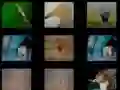 Laro Alaala ng Hayop online Laro Alaala ng Hayop online