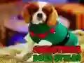 Laro Mga Estilo ng Aso ng Pasko online