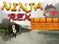 Laro Ninja Rex online Laro Ninja Rex online