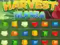 Laro Maniya ng Ani online Laro Maniya ng Ani online