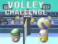 Laro Hamon ng Volleyball online Laro Hamon ng Volleyball online