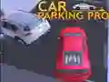 Laro Parking Pro online