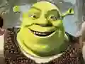 Laro Koleksyon ng Puzzles ng Shrek online
