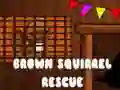 Laro Pagl救 ng Brown Squirrel online Laro Pagl救 ng Brown Squirrel online