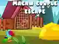 Laro Pagtakas ng Magkaparehong Macaw online Laro Pagtakas ng Magkaparehong Macaw online