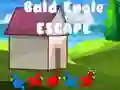 Laro Takas ng Bald Eagle online