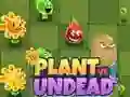 Laro Mga Halaman laban sa Undead online Laro Mga Halaman laban sa Undead online