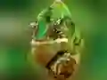 Laro Chameleon Puzzles online Laro Chameleon Puzzles online