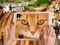 Laro Walang Hanggang Palaisipan online Laro Walang Hanggang Palaisipan online