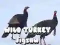 Laro Pagtutugma ng Wild Turkey online Laro Pagtutugma ng Wild Turkey online