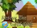 Laro Iligtas ang Golden Fish online Laro Iligtas ang Golden Fish online