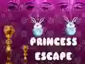 Laro Takbuhin ng Prinsesa online Laro Takbuhin ng Prinsesa online