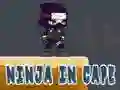 Laro Ninja sa Cape online