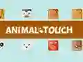 Laro Hayop Toush online Laro Hayop Toush online