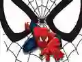 Laro Mga Kagamitan sa Pagtugma ng Spiderman online