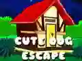 Laro Pagtakas ng Cute na Aso online Laro Pagtakas ng Cute na Aso online