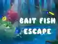 Laro Takasan ng Isda ng Pain online Laro Takasan ng Isda ng Pain online