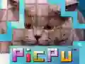 Laro PicPu Pusa online