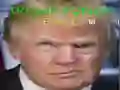 Laro Trump Nakakatawang Mukha online Laro Trump Nakakatawang Mukha online