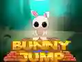 Laro Laktaw Kuneho online Laro Laktaw Kuneho online
