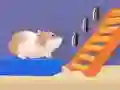 Laro Damdamin Hamster online Laro Damdamin Hamster online