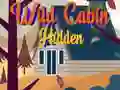 Laro Nakatagong Wild Cabin online Laro Nakatagong Wild Cabin online