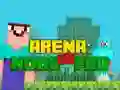 Laro Arena: Noob laban sa Pro online Laro Arena: Noob laban sa Pro online