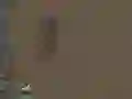 Laro Ang Kaligtasan online Laro Ang Kaligtasan online