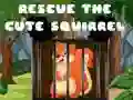 Laro Iligtas ang Cute Squirrel online Laro Iligtas ang Cute Squirrel online