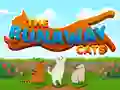 Laro Mga Tangkang Pusa online Laro Mga Tangkang Pusa online