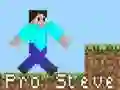 Laro Pro Steve online