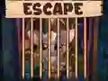Laro Magandang Maliit na Bat Escape online Laro Magandang Maliit na Bat Escape online