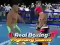 Laro Tunay na Labanan sa Boksing online