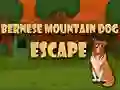 Laro Takas ng Bernese Mountain Dog online