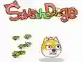Laro Sagipin Ang Doge online Laro Sagipin Ang Doge online