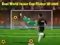 Laro Tunay na World Cup Soccer Flicker 3D 2023 online