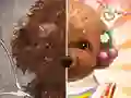 Laro Guro sa Makeup ng Alagang Hayop online
