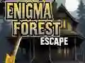 Laro Takas sa Enigma Gubat online Laro Takas sa Enigma Gubat online