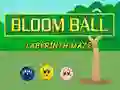 Laro Labirinto ng Bloomball online