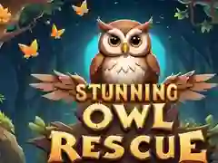 Laro Kamangha-manghang Pagsagip ng Bubo online Laro Kamangha-manghang Pagsagip ng Bubo online