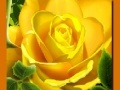 Laro Dilaw na Roses online