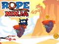 Laro Ninja Kable online