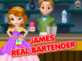 Laro James Tunay na Bartender online