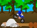 Laro Ang Tawiran na Sonic Race online