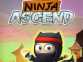 Laro Ninja Umaakyat online