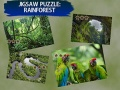 Laro Puzzle Gubat ng Ulan online